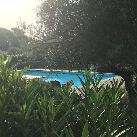 Appt T2 Standing Avec Piscine Et Terrasse Apartment Порто-Векио Екстериор снимка