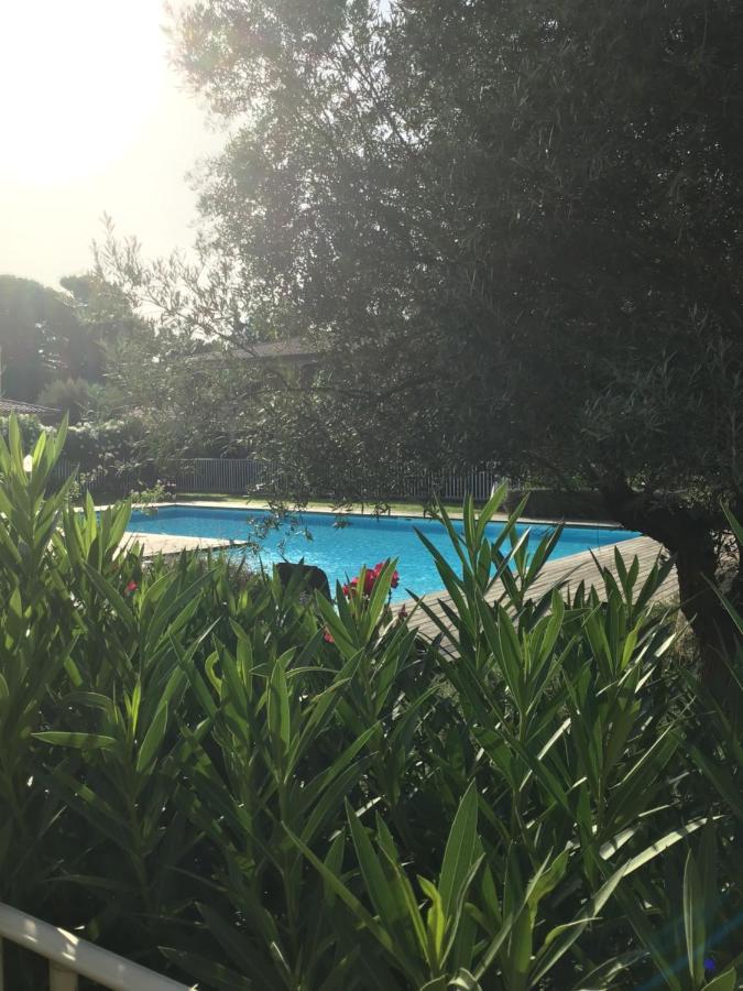 Appt T2 Standing Avec Piscine Et Terrasse Apartment Порто-Векио Екстериор снимка
